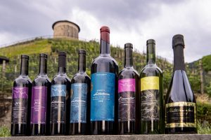 Vitivinicola Sottotorre Camorino